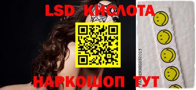 spice Камышлов