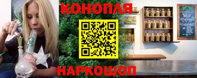 spice Камышлов