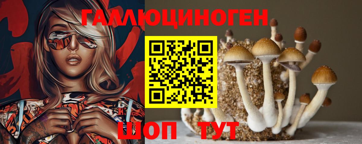 Кисловодск  Псилоцибиновые грибы мухоморы  Вход с VPN  Псилоцибиновые грибы прущие грибы 